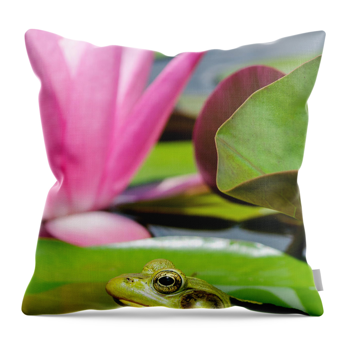 Ladew Gardens Throw Pillow featuring the photograph Ladew Flog by Georgette Grossman