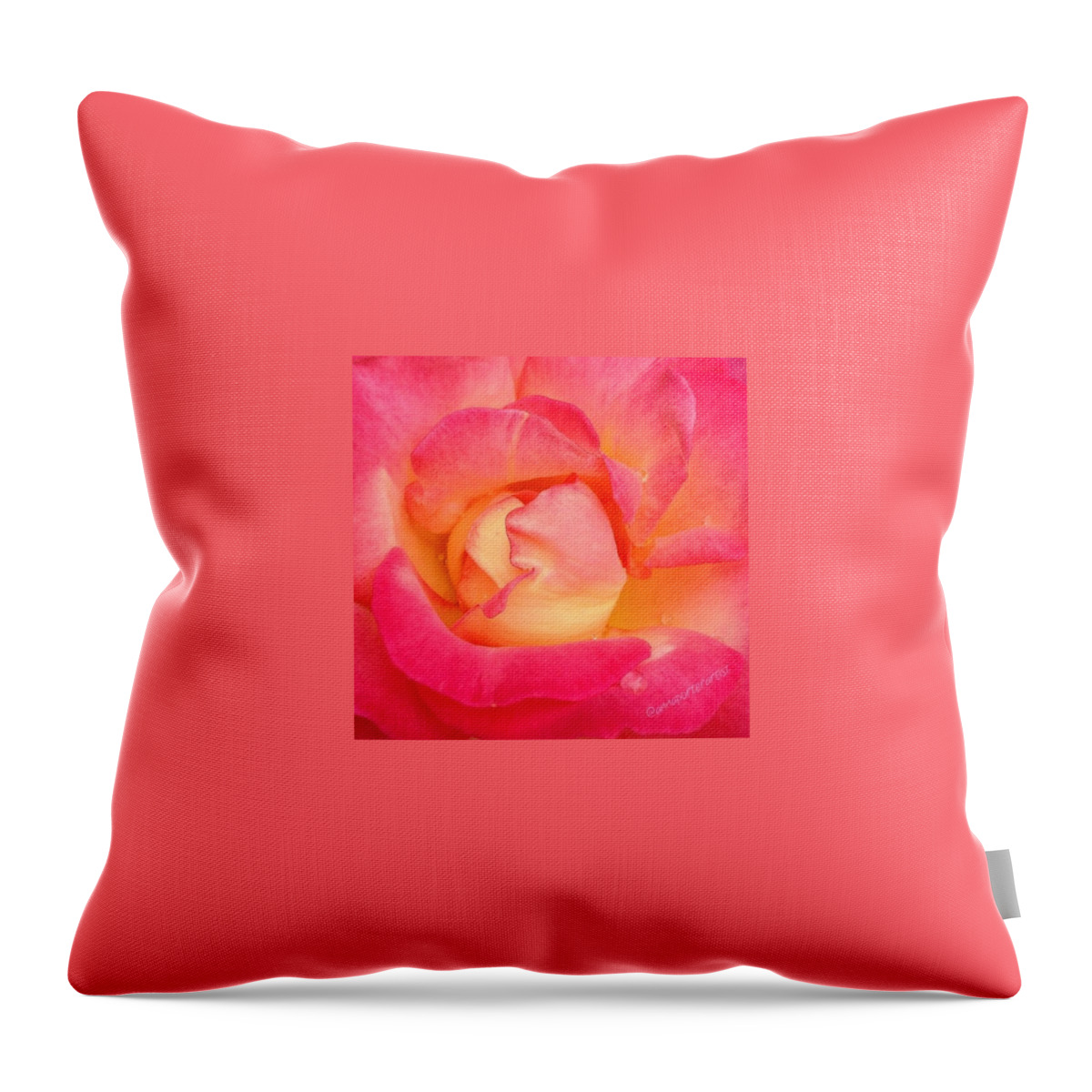 Top_masters Throw Pillow featuring the photograph Lady Diana Rose, A #macro #rose For The by Anna Porter