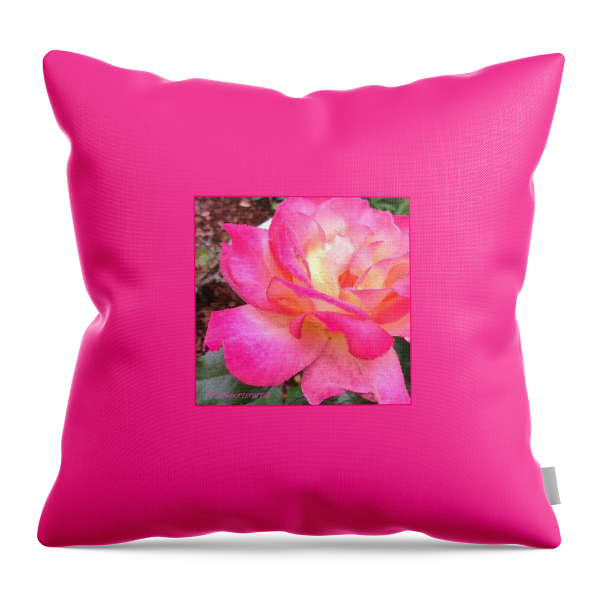 Summer Throw Pillow featuring the photograph Lady Diana Rose Growing In My Garden by Anna Porter