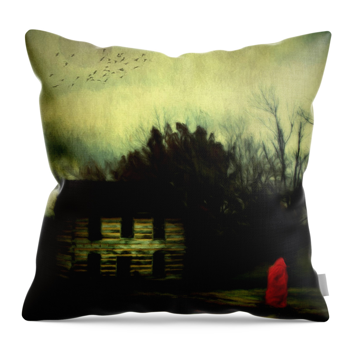 Girl Throw Pillow featuring the photograph Lady in Red by Darren Fisher