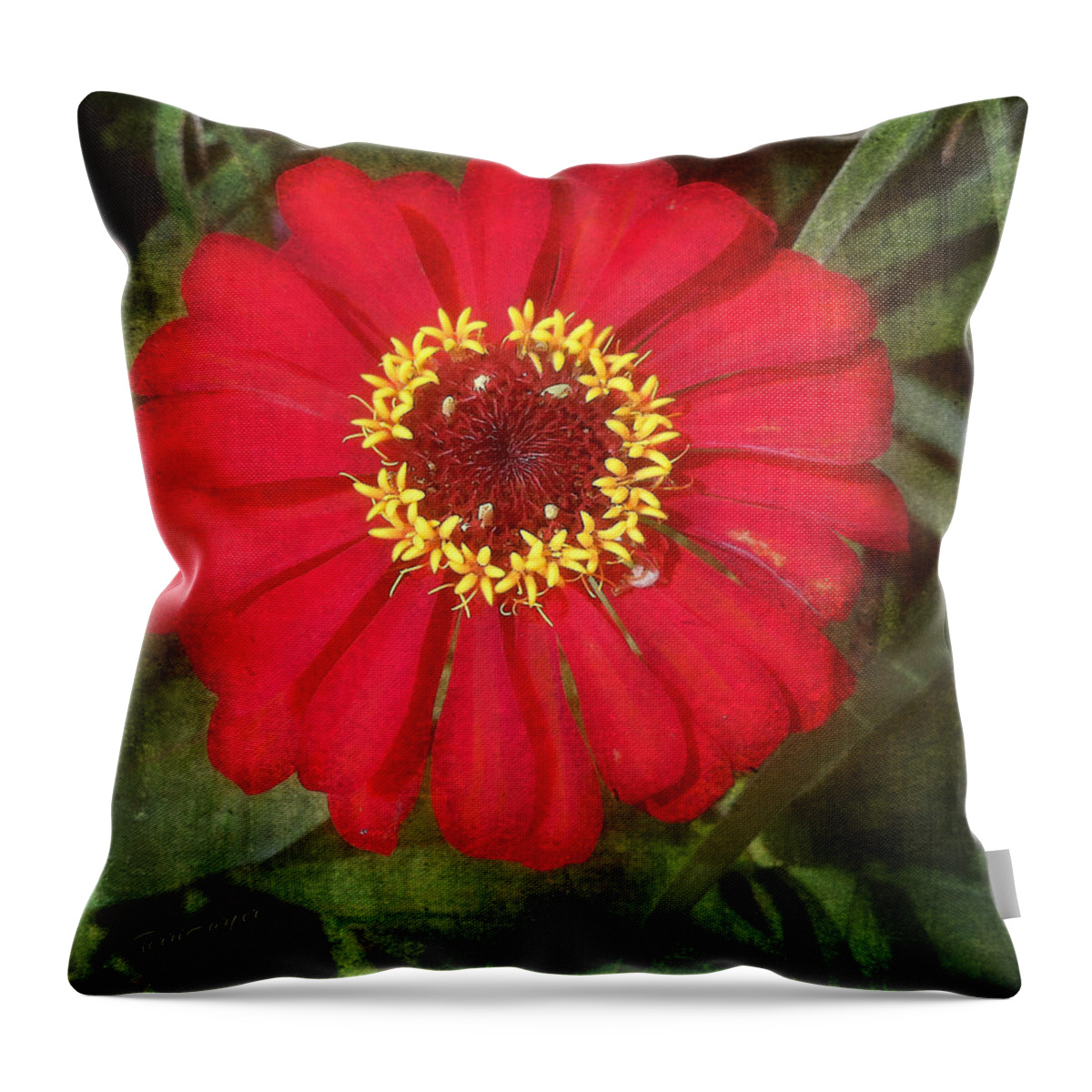 Lady Throw Pillow featuring the photograph Lady In Red by Terri Harper