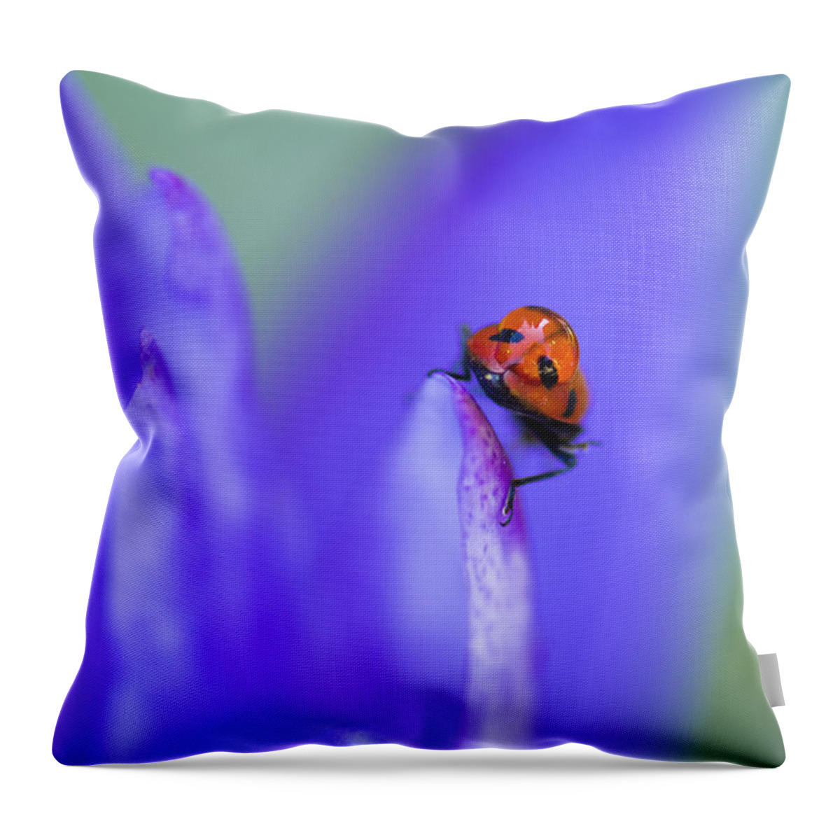 Ladybug Throw Pillow featuring the photograph Ladybug Adventure by Priya Ghose
