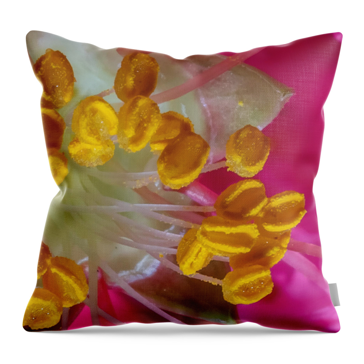 Background Throw Pillow featuring the photograph Lagerstroemia Indica Stigma by Traveler's Pics