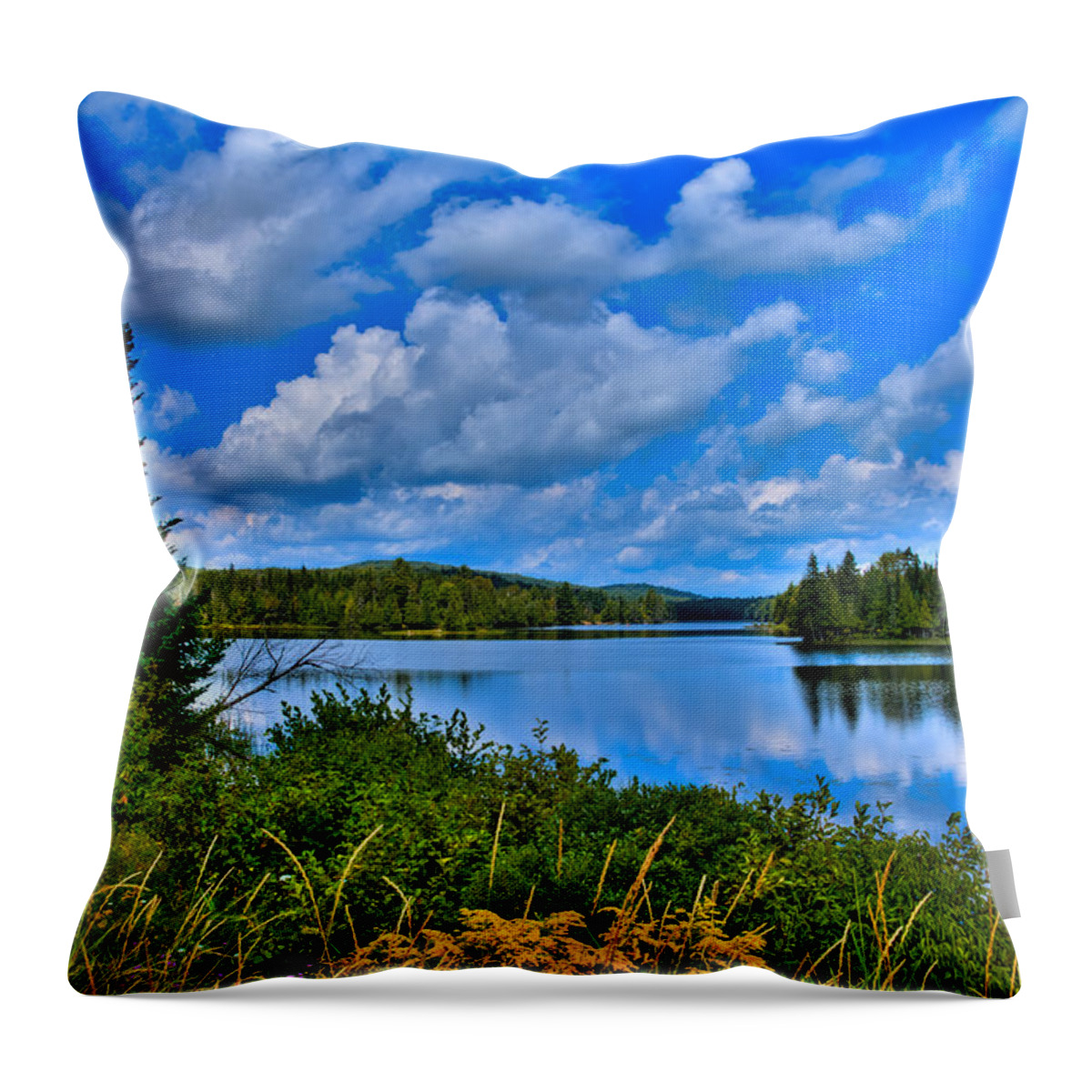 Lake Abanakee Throw Pillow featuring the photograph Lake Abanakee - Indian Lake New York by David Patterson