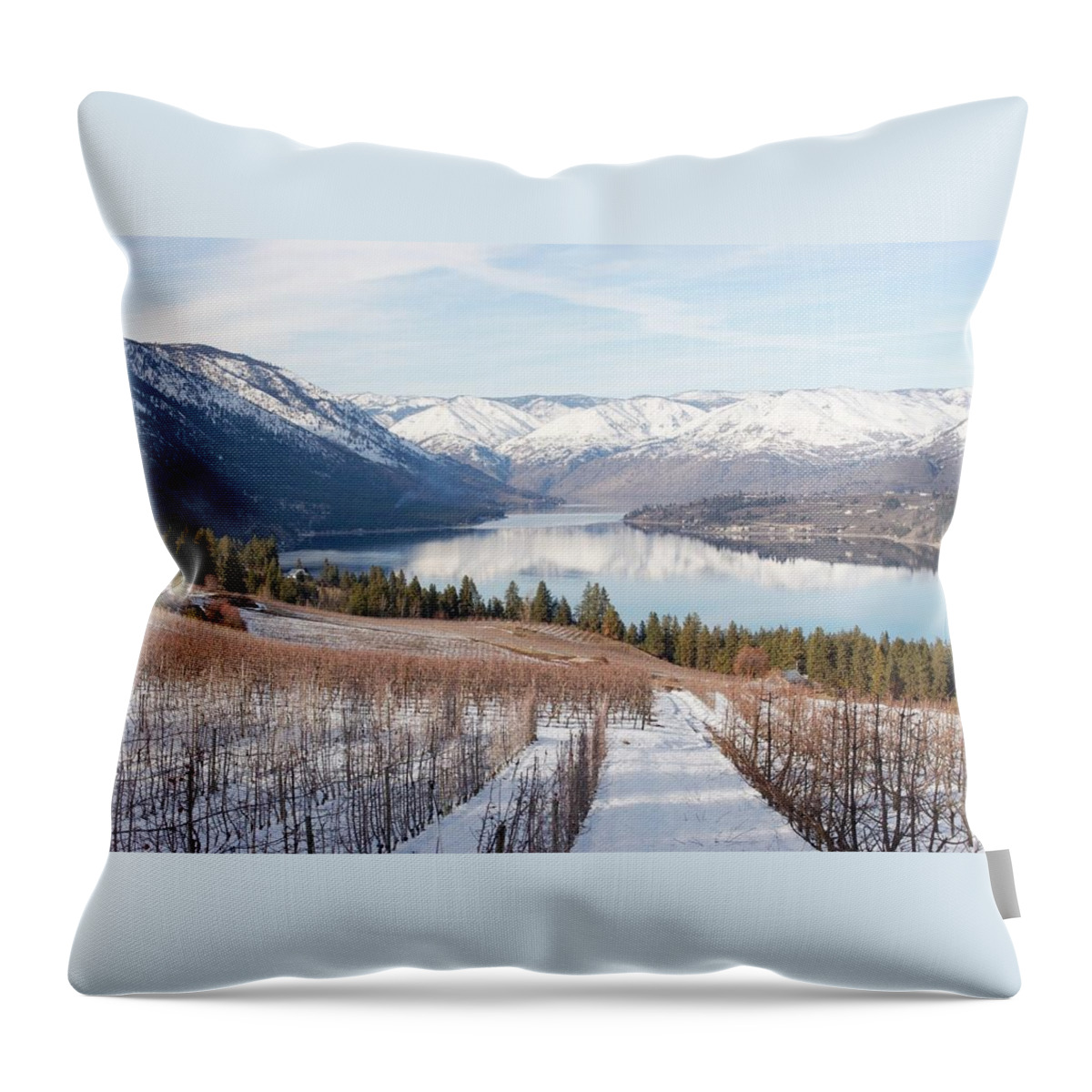 Lake Throw Pillow featuring the photograph Lake Chelan in Winter by Alexander Fedin