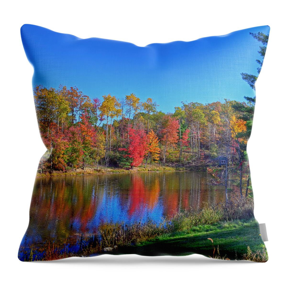 Autumn Throw Pillow featuring the photograph Lake in the Woods by Rodney Campbell