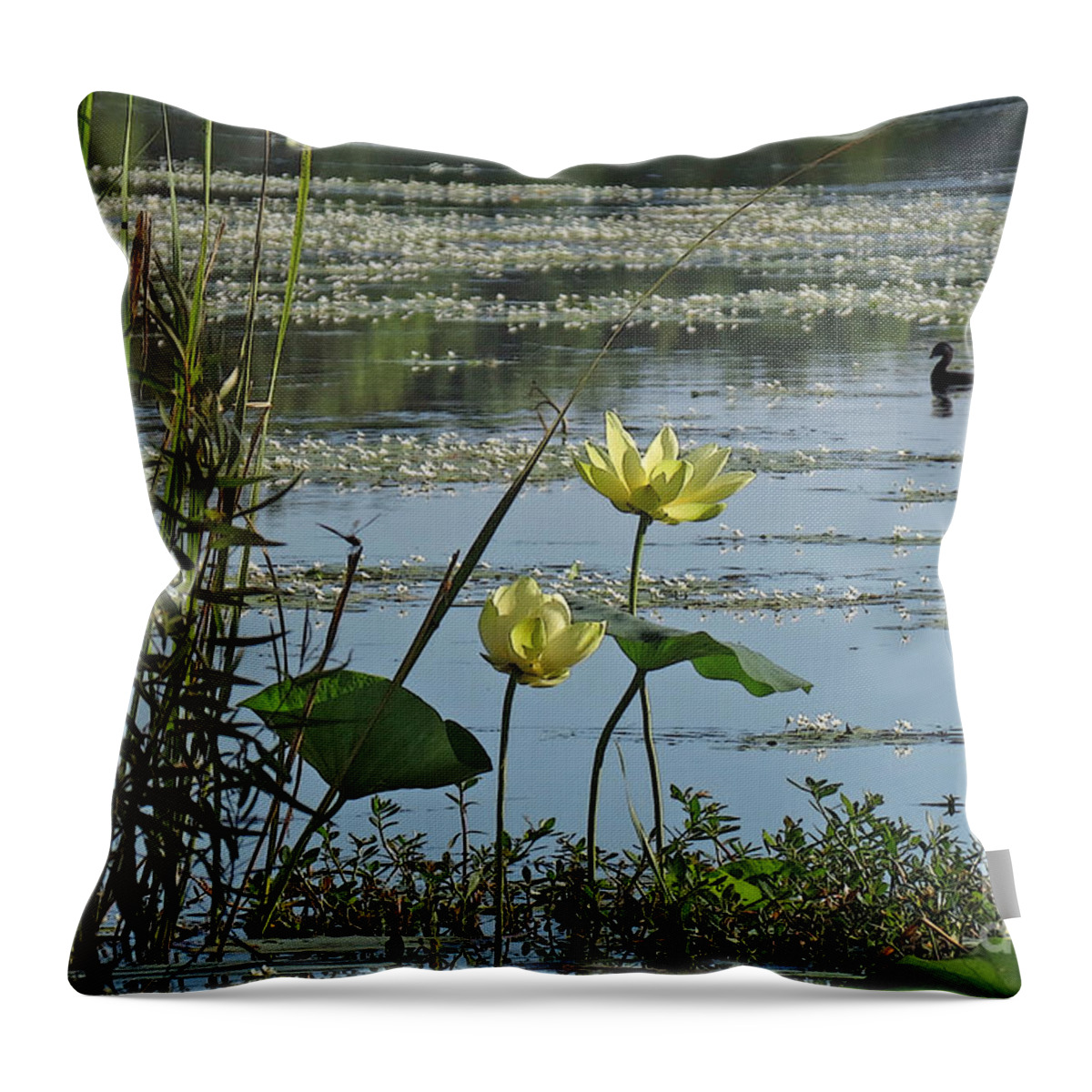 Lotus Throw Pillow featuring the photograph Lake Marion Morning by Deborah Smith
