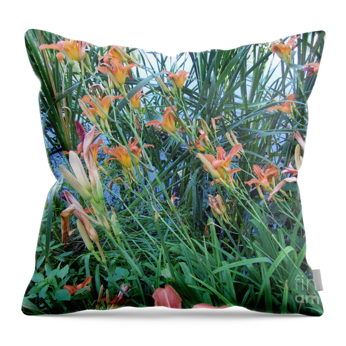 Water Throw Pillow featuring the photograph Lake Of The Lilies by Susan Carella