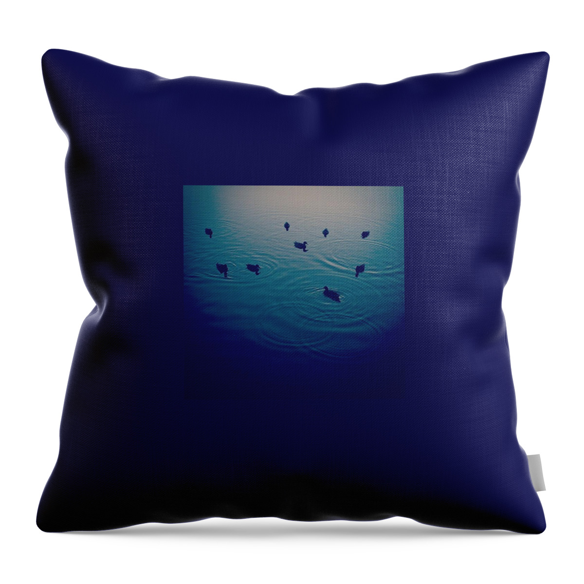 Water Throw Pillow featuring the photograph #lake #pond #water #ducks by Craig Mckirdy