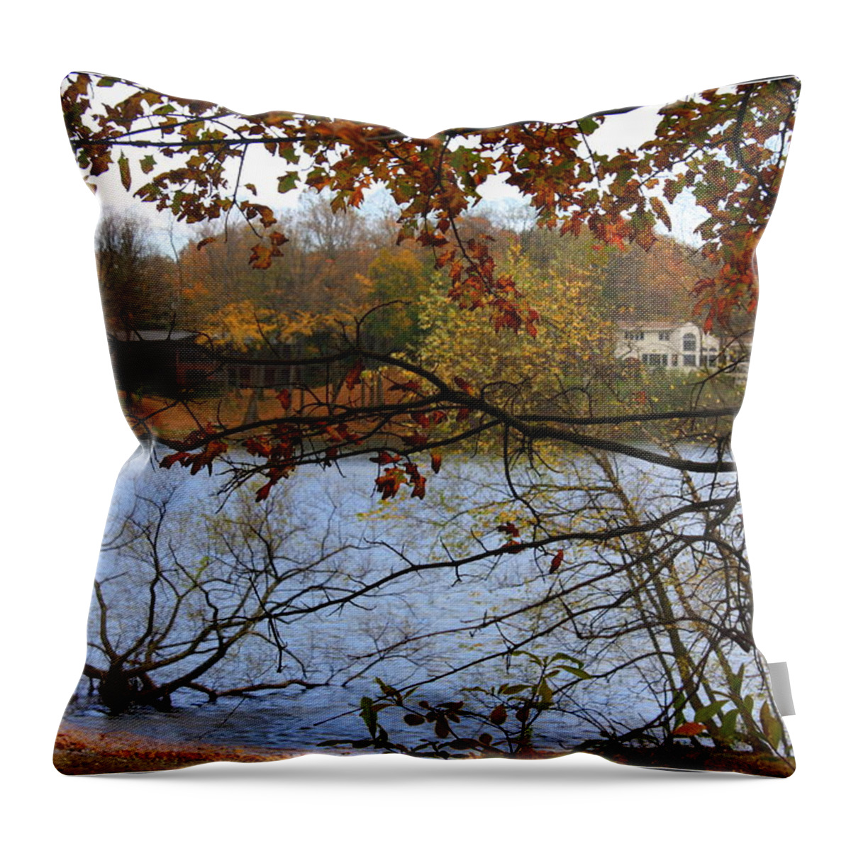 Landscapes Throw Pillow featuring the photograph Lake Success in Autumn by Dora Sofia Caputo