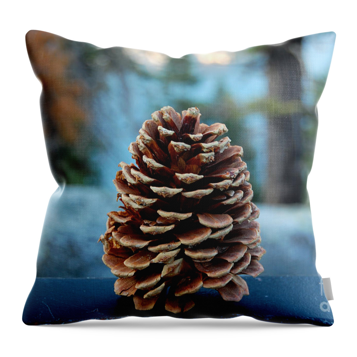Lake Tahoe Throw Pillow featuring the photograph Lake Tahoe Pine Cone by Debra Thompson
