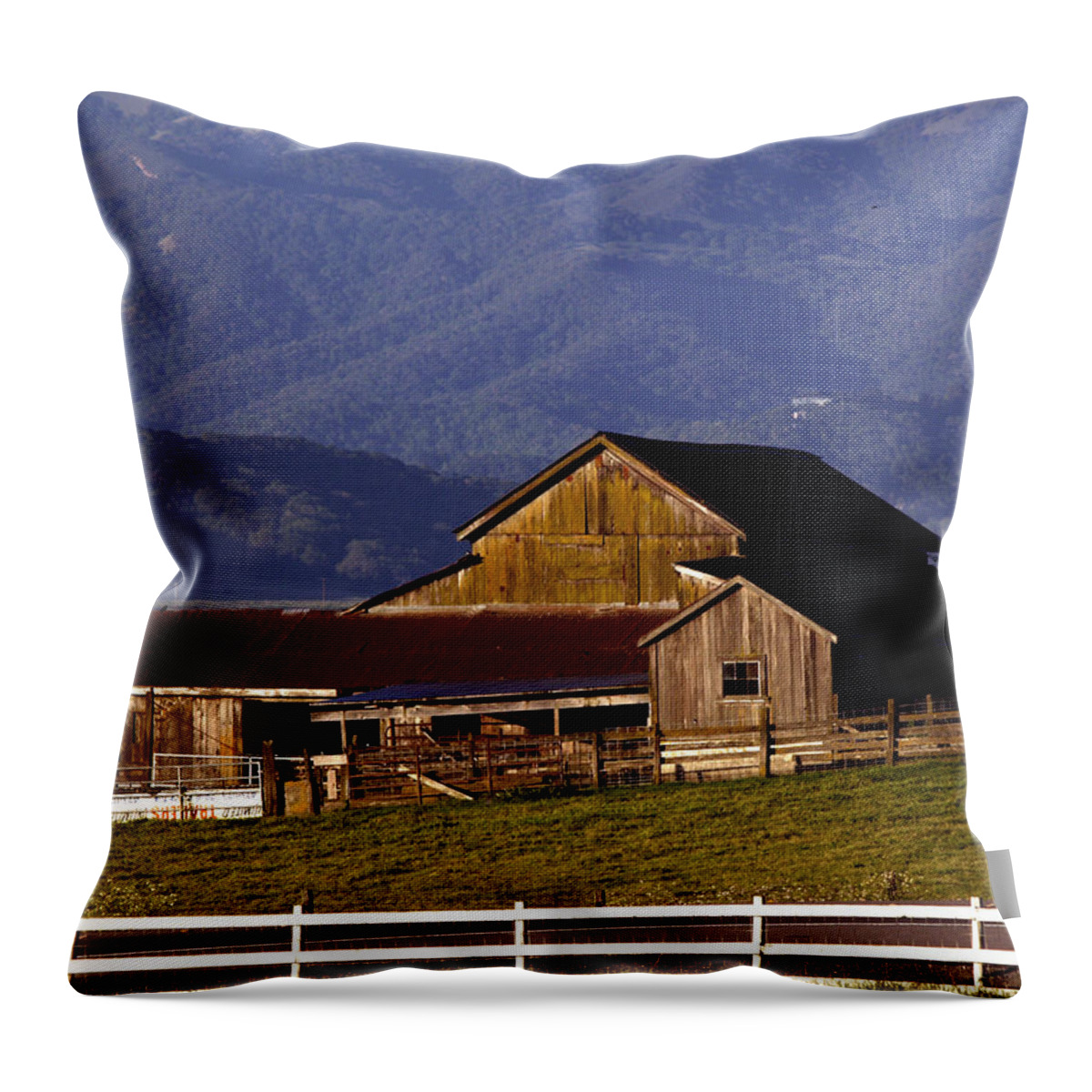 Barns Throw Pillow featuring the photograph Lakeville Barn by Bill Gallagher