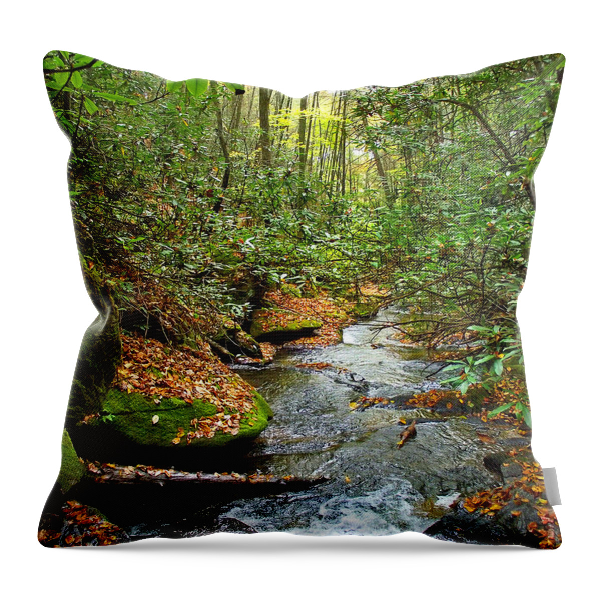 Landscapes Throw Pillow featuring the photograph Lamance Creek by Duane McCullough
