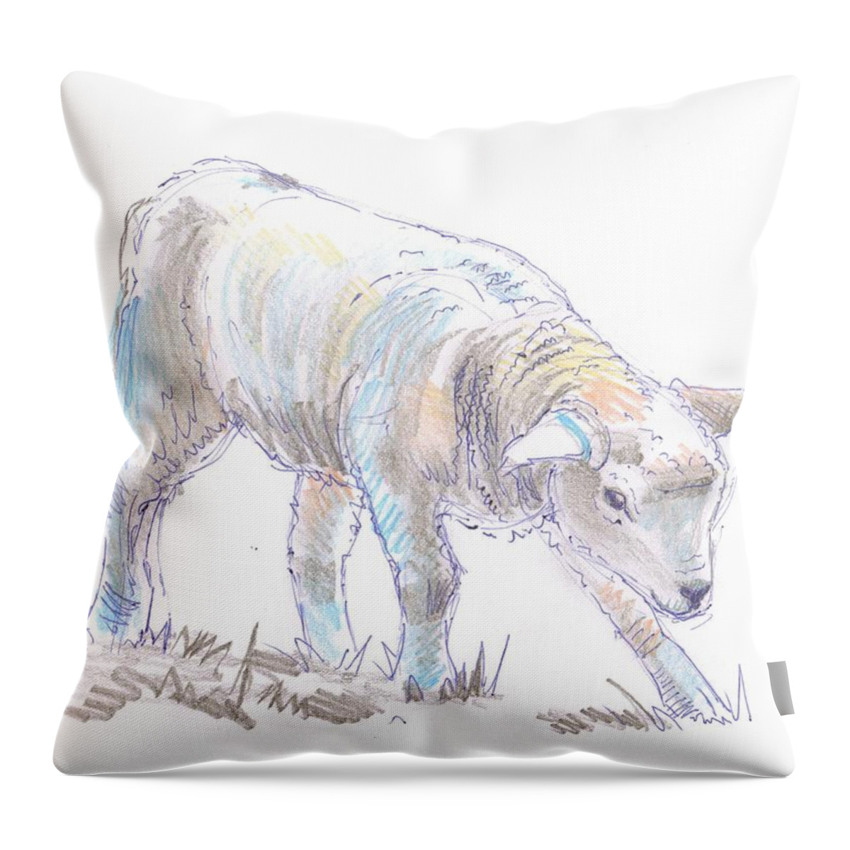Lamb Throw Pillow featuring the drawing Lamb Sketch by Mike Jory
