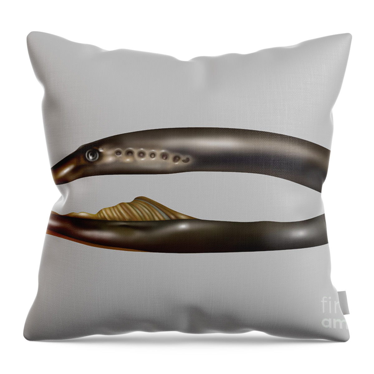 Nature Throw Pillow featuring the photograph Lamprey Eel, Illustration by Gwen Shockey