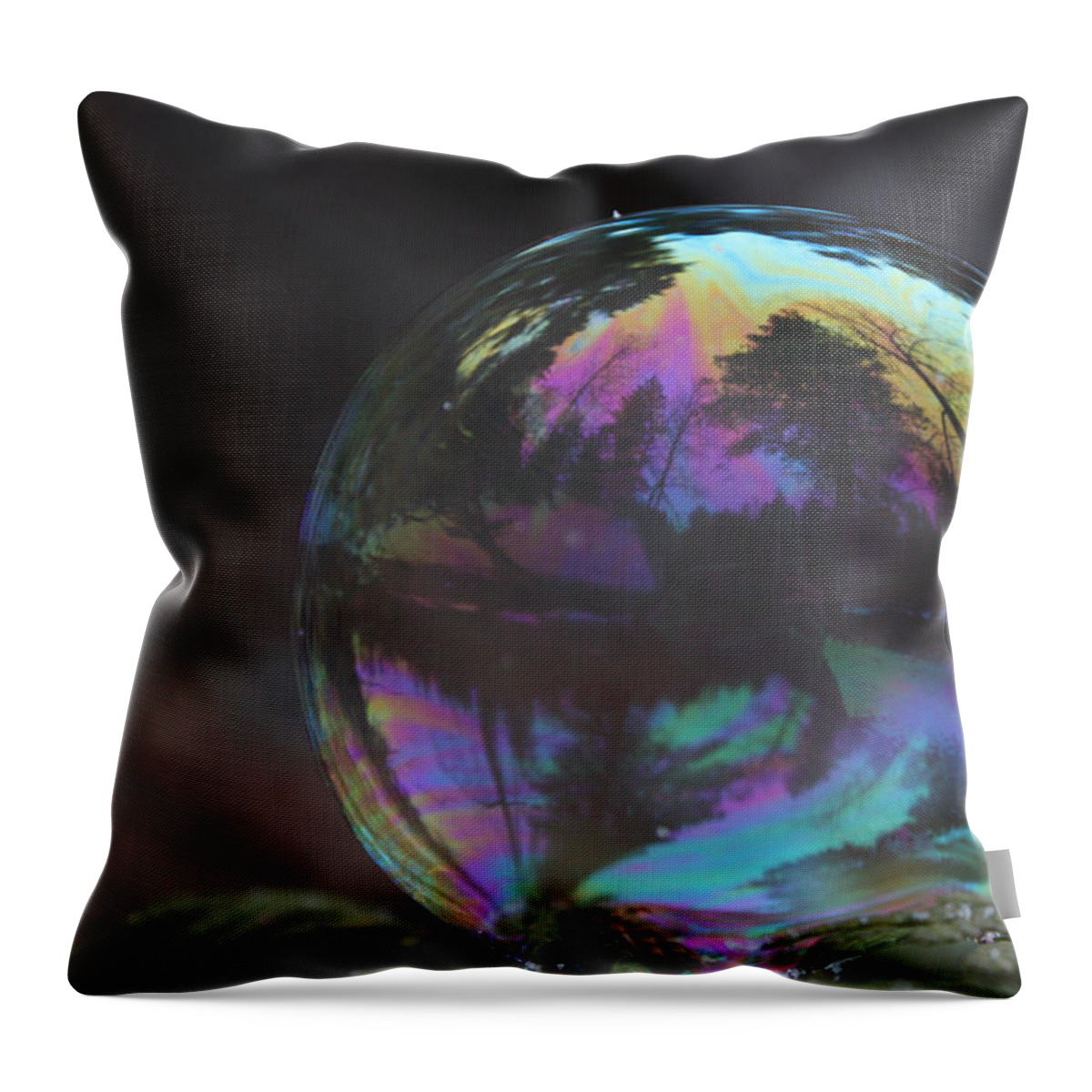 Land Throw Pillow featuring the photograph Land of Dreams by Cathie Douglas