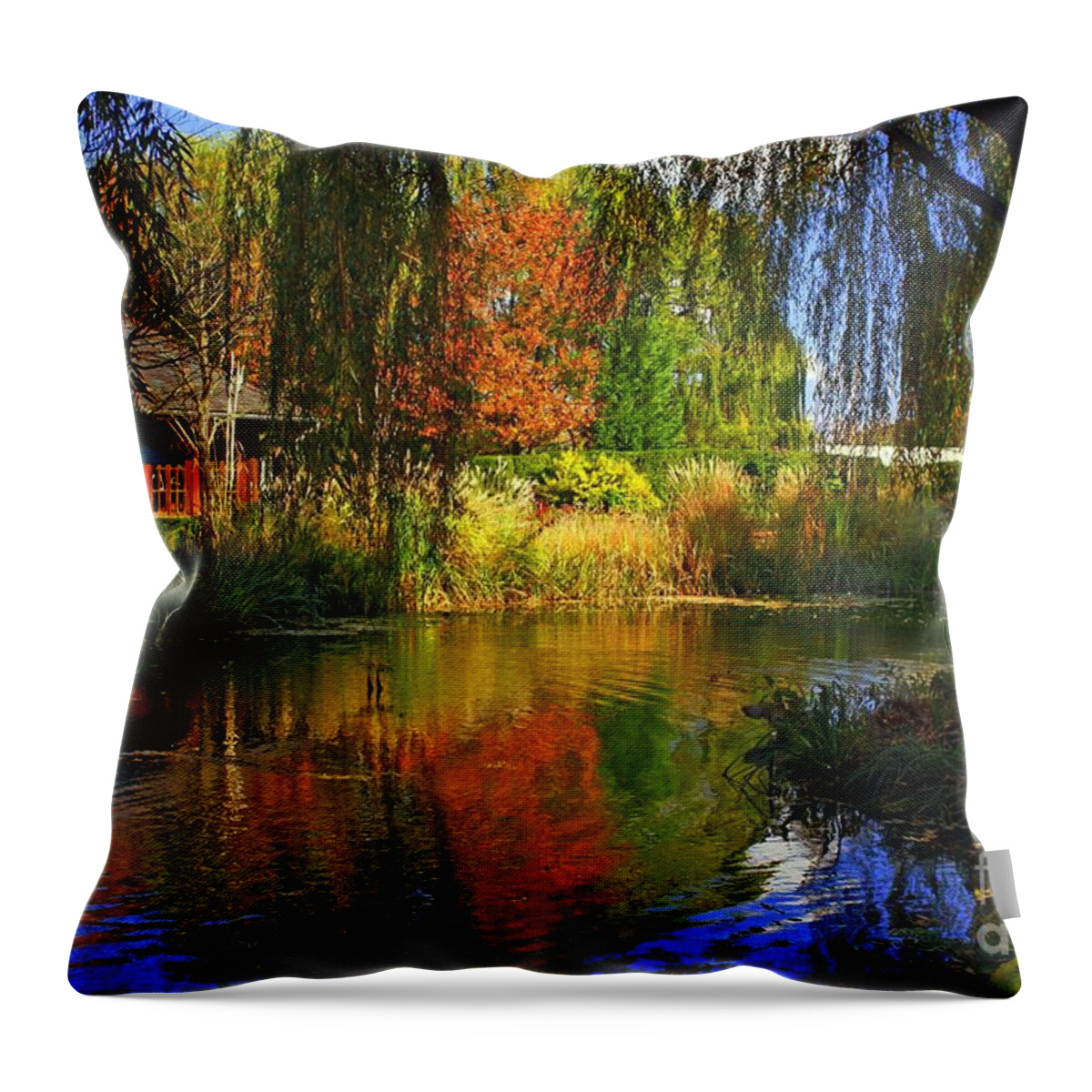 Marcia Lee Jones Throw Pillow featuring the photograph Land Of Enchantment by Marcia Lee Jones