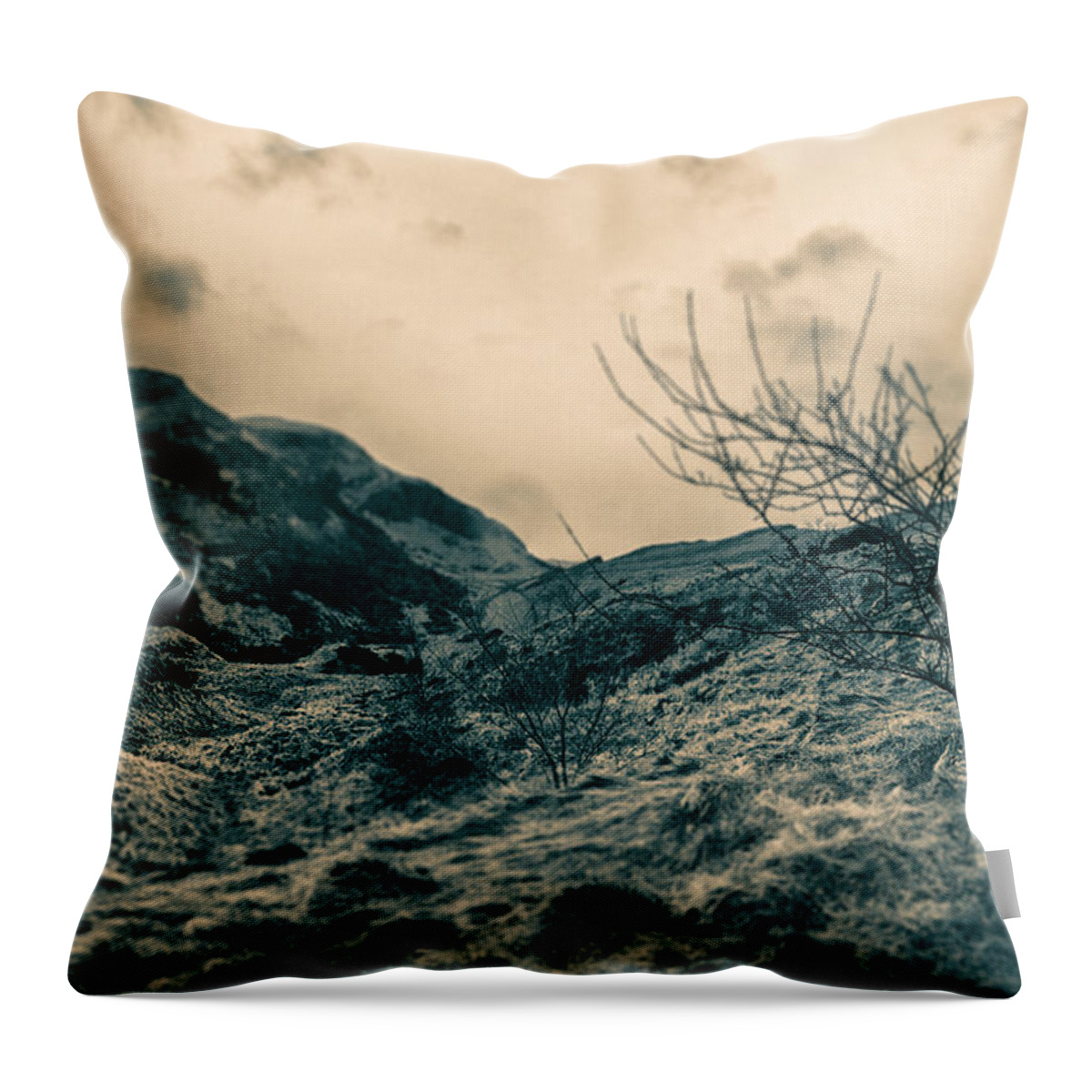 hill Top Throw Pillow featuring the photograph Land of Scotland by Lenny Carter