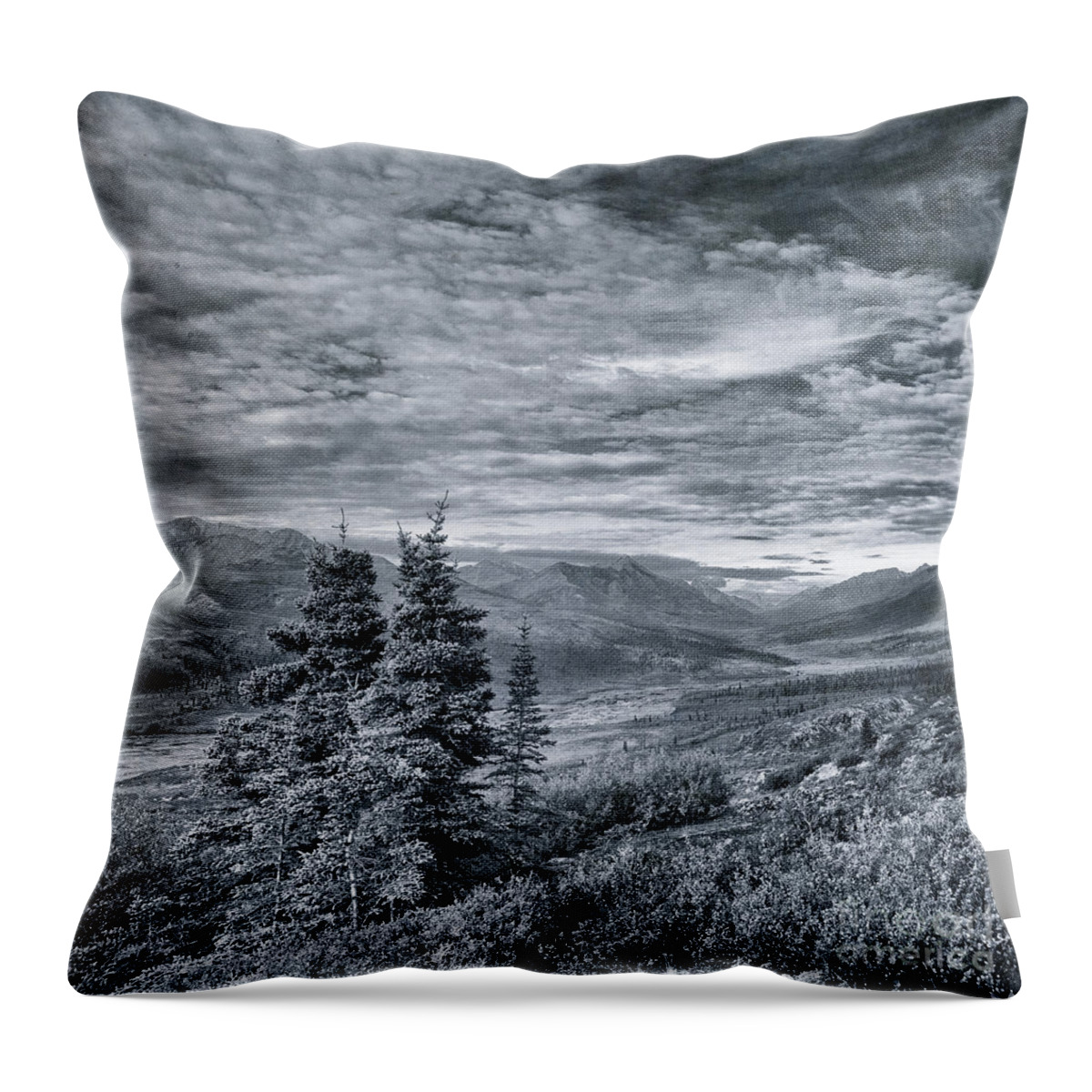 Tree Throw Pillow featuring the photograph Land Shapes 18 by Priska Wettstein