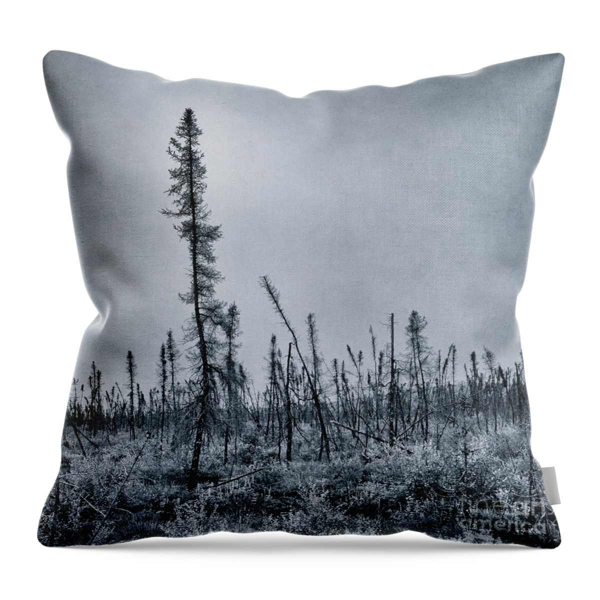  Throw Pillow featuring the photograph Land Shapes 21 by Priska Wettstein