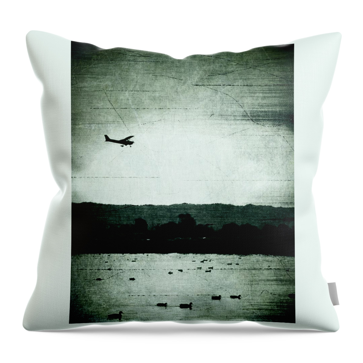 Black And White Throw Pillow featuring the photograph Landing at Sunset by Anne Thurston