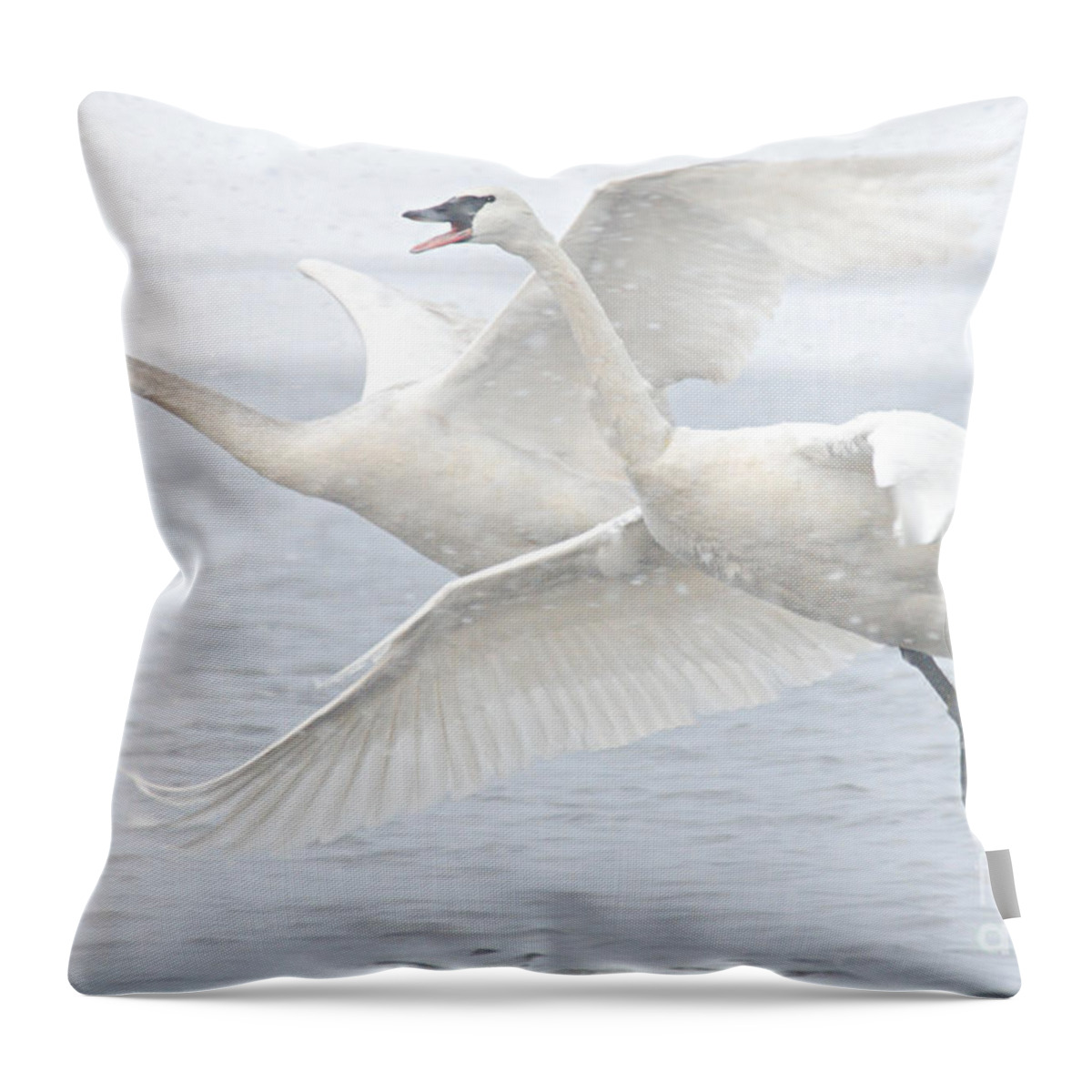 Photography Throw Pillow featuring the photograph Landing in the Snow by Larry Ricker