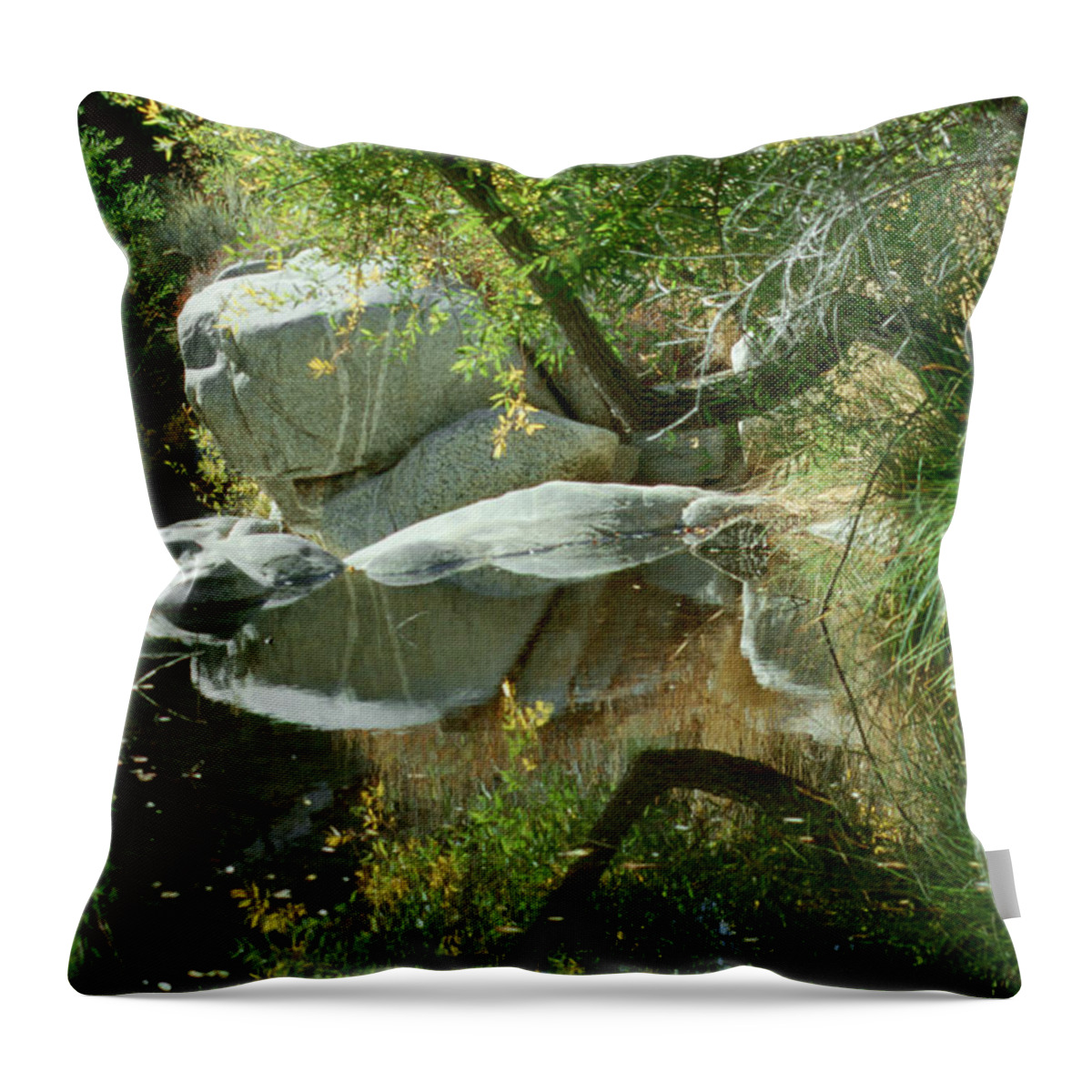 Landscape Throw Pillow featuring the photograph Landscape 1 by Andy Shomock