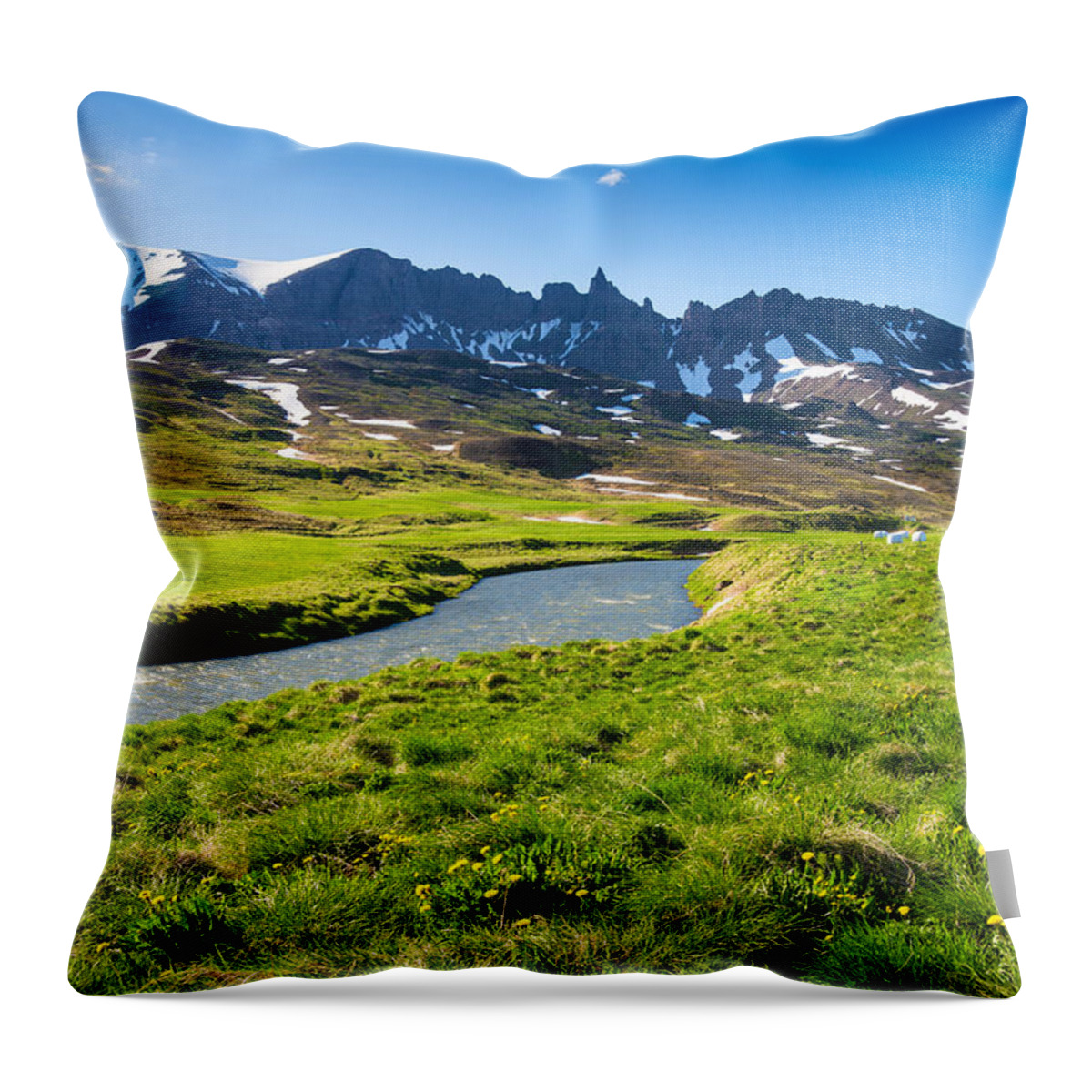 Iceland Throw Pillow featuring the photograph Landscape with green meadow river and mountains in North Iceland by Matthias Hauser