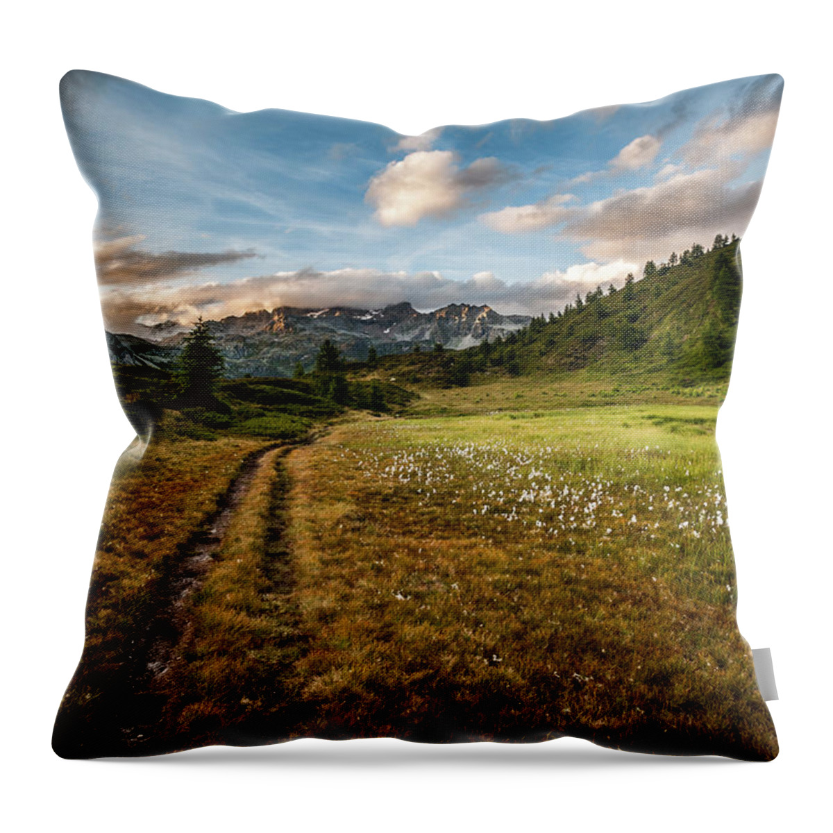 Horizontal Throw Pillow featuring the photograph Landscpe Of Muontains In Devero Natural by Paolo Sartori