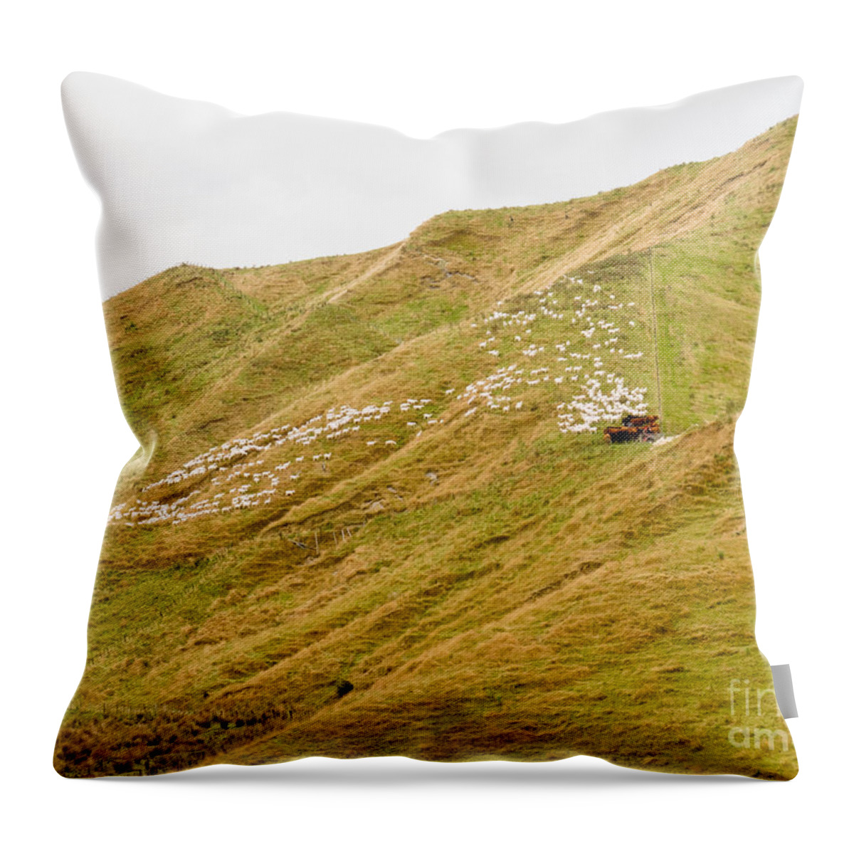 Agriculture Throw Pillow featuring the photograph Large flock of herded sheep on a steep hillside by Stephan Pietzko
