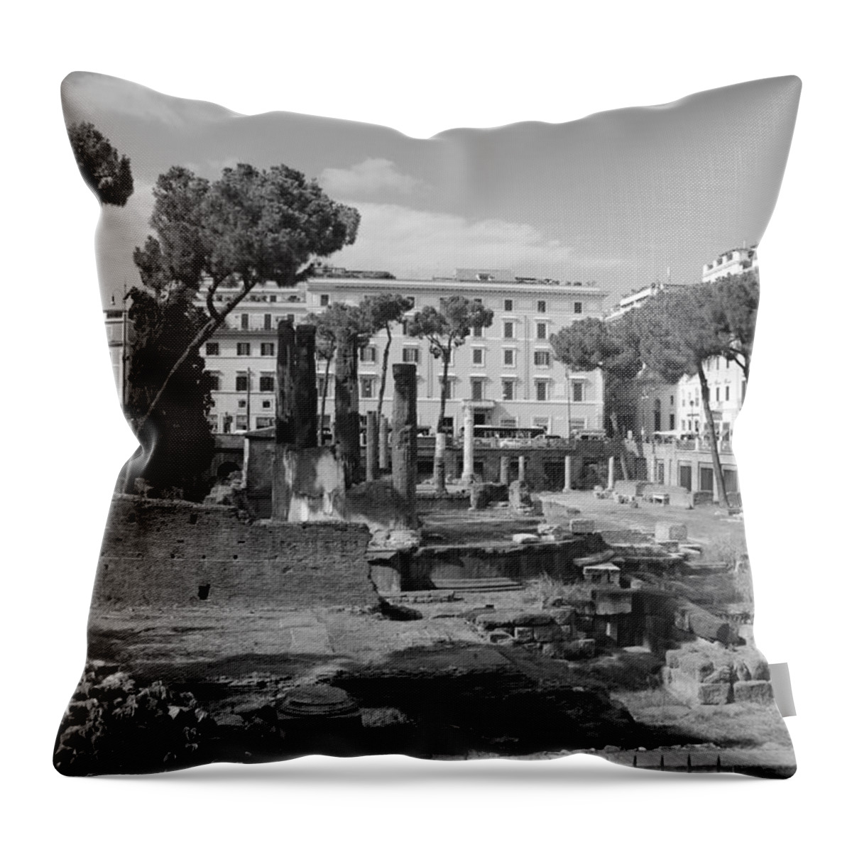 Roma Throw Pillow featuring the photograph Largo di Torre - Roma by Dany Lison