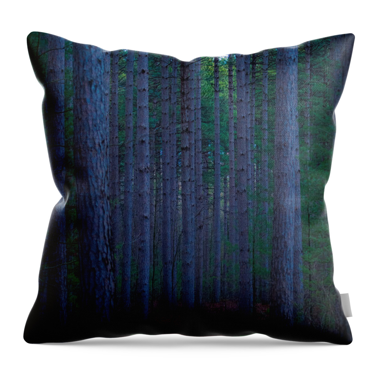 Larose Forest Throw Pillow featuring the photograph Larose Forest by Bianca Nadeau