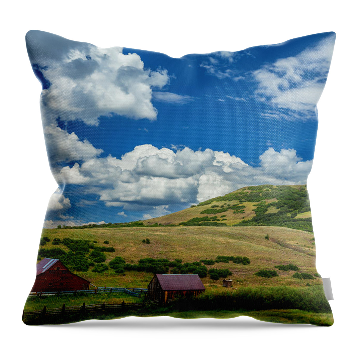 Historic Throw Pillow featuring the photograph Last Dollar Homestead by Darren White