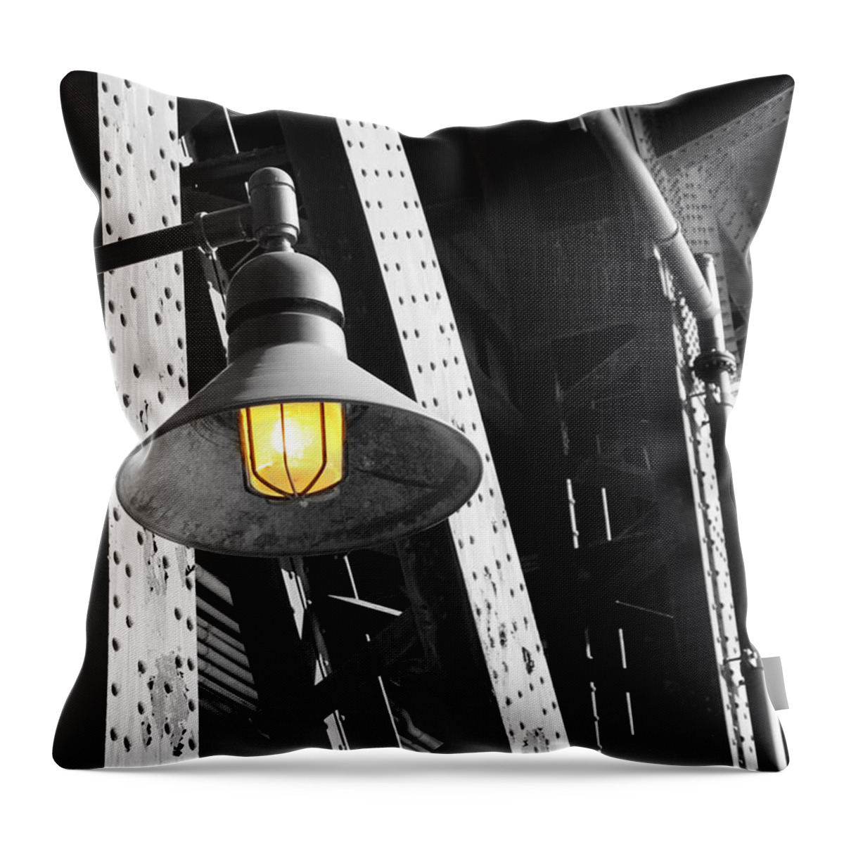 Light Throw Pillow featuring the photograph Last Hope by Patricia Babbitt