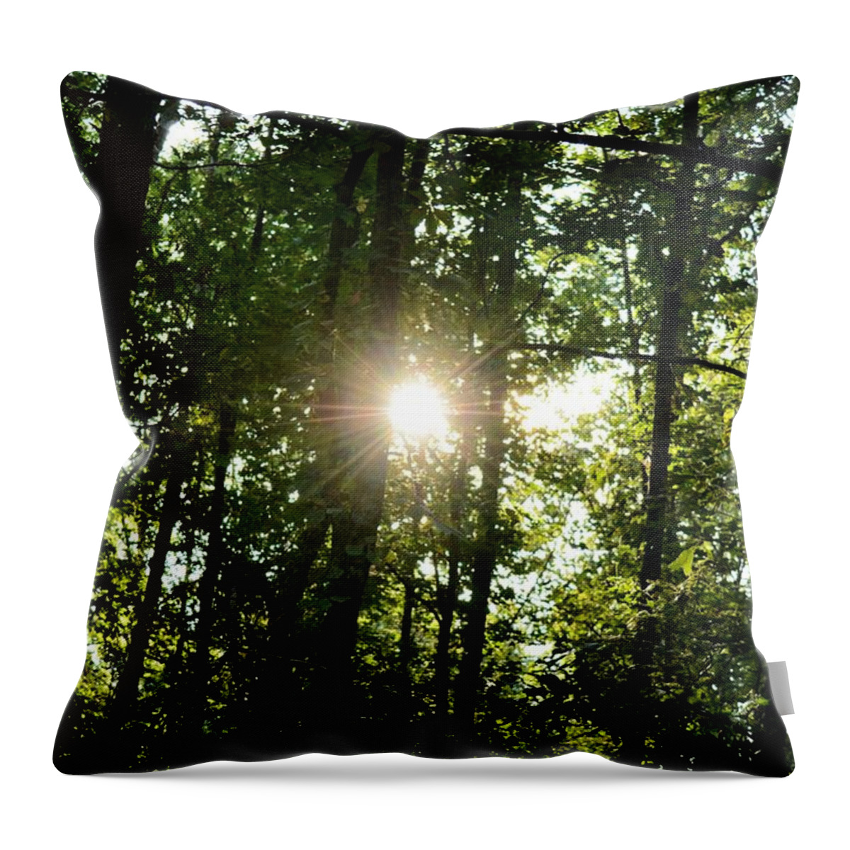 Last Light In The Forest Throw Pillow featuring the photograph Last Light in the Forest by Maria Urso