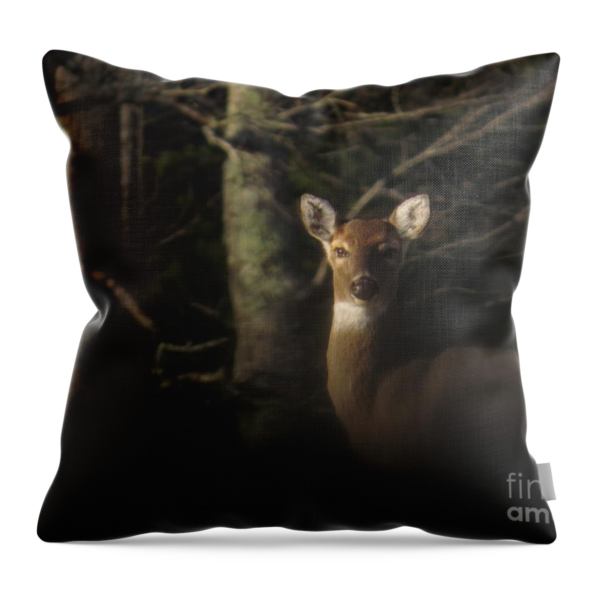 Doe Throw Pillow featuring the photograph Last look by Rrrose Pix