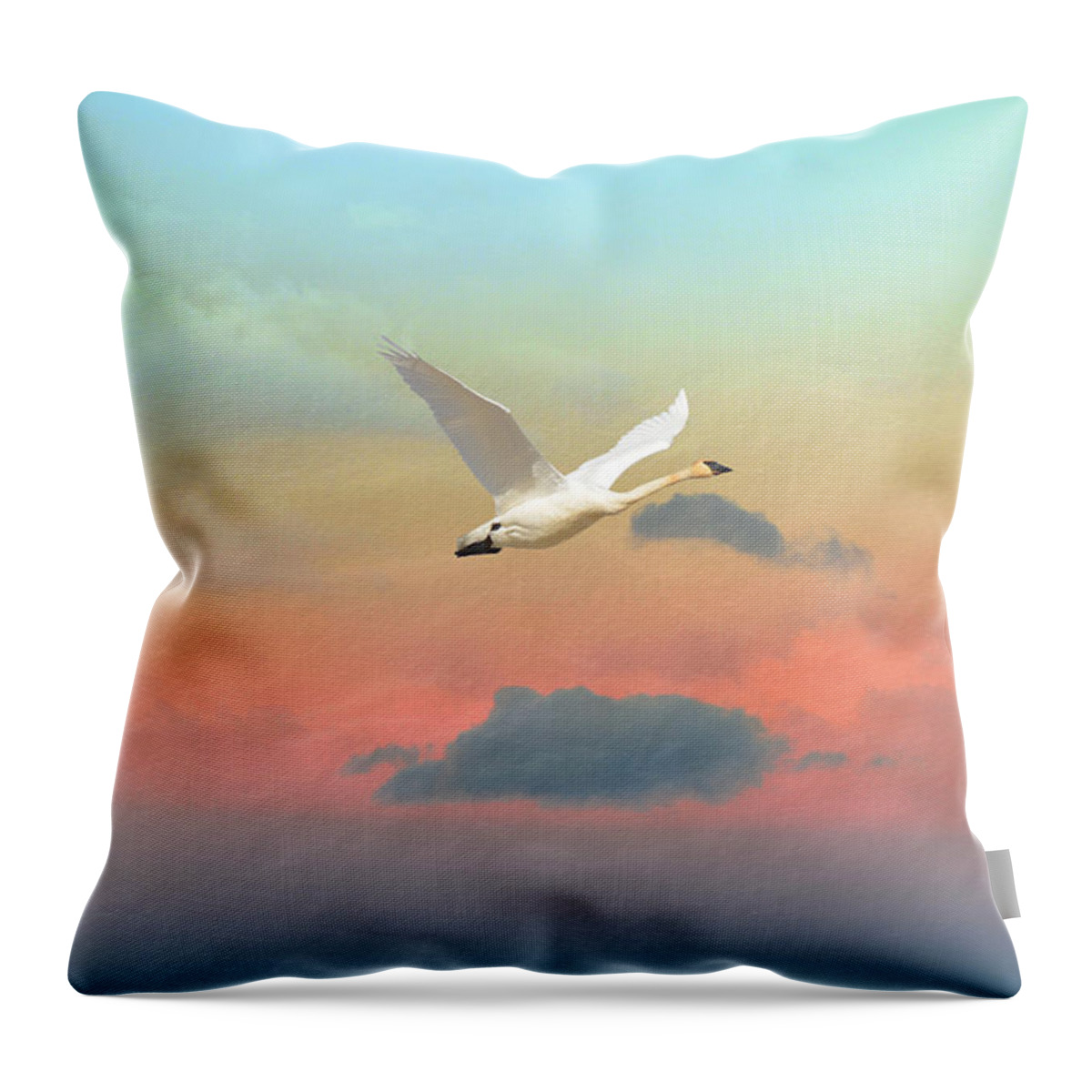 Swans Throw Pillow featuring the photograph Last Vestige by Ed Hall