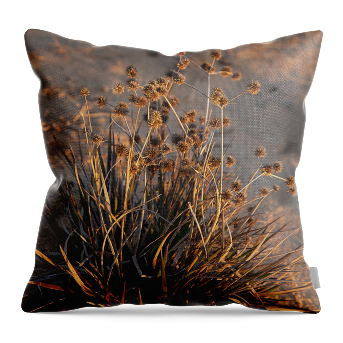 Lake Ray Roberts Throw Pillow featuring the photograph Late Day Color by Greg Kopriva