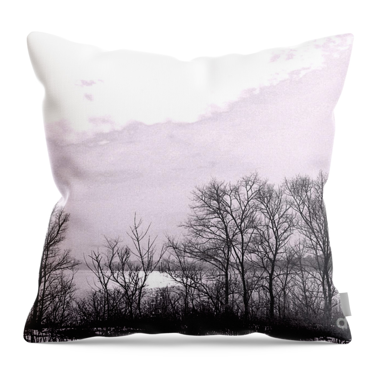 Sunset Throw Pillow featuring the photograph Late Day Sun On Lake Ontario 2 by Nina Silver