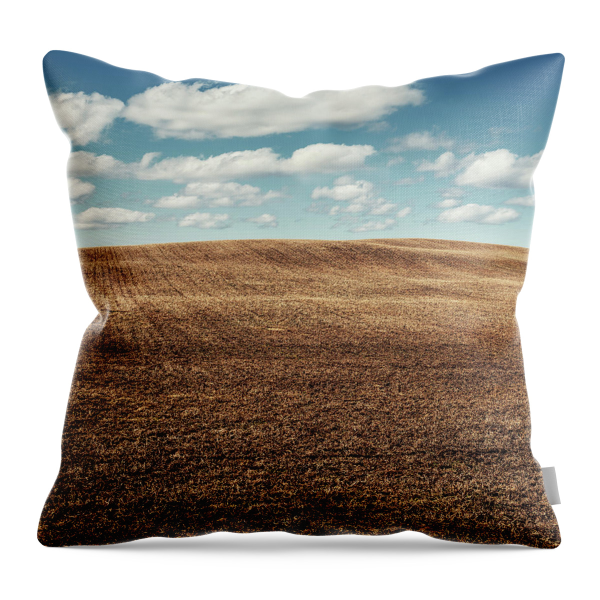 Scenics Throw Pillow featuring the photograph Late Spring by Shaunl