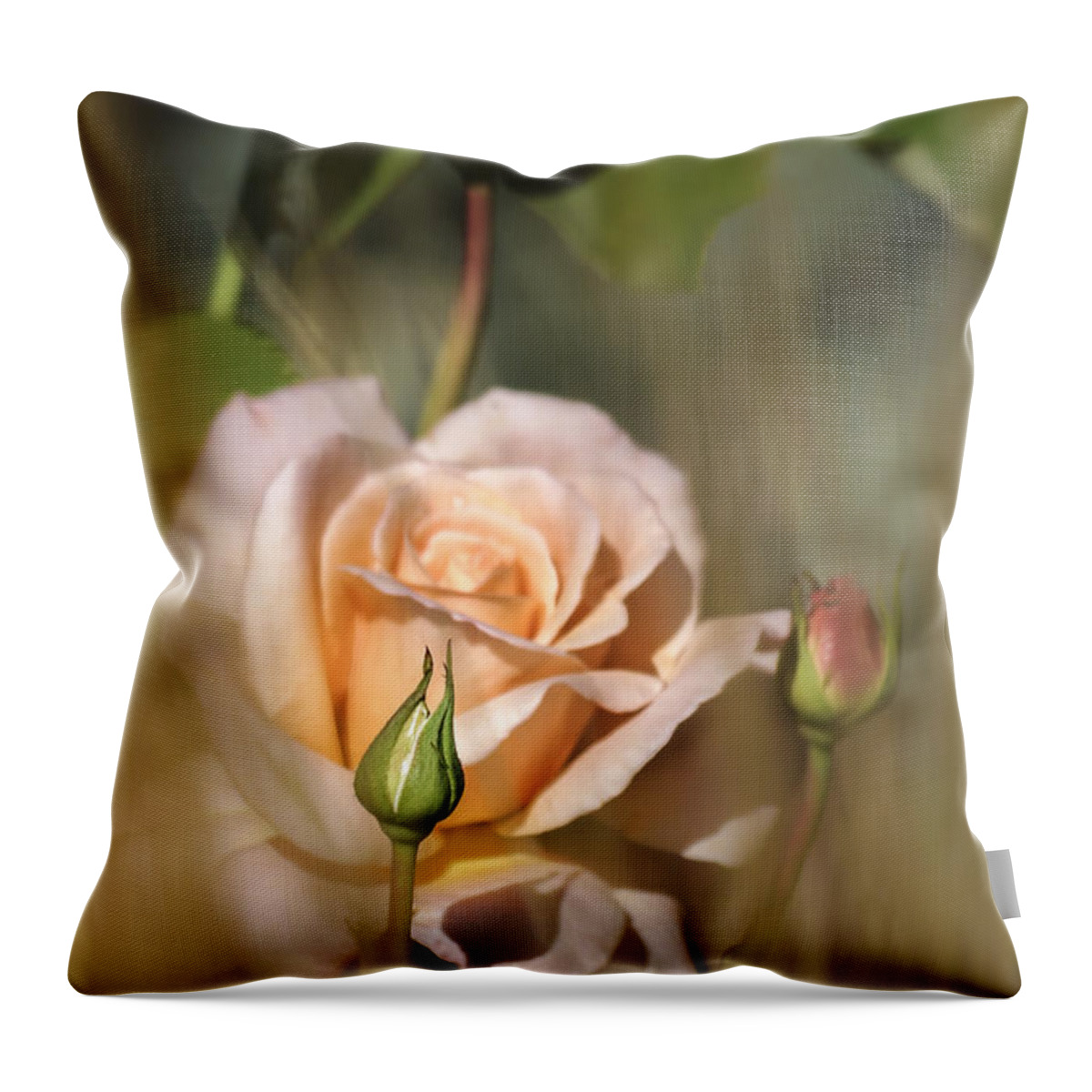 Flowers Throw Pillow featuring the photograph Late Summer Rose by Albert Seger