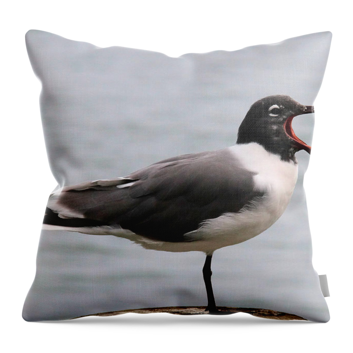 Laughing Gull Throw Pillow featuring the photograph Laughing Gull by Doris Potter