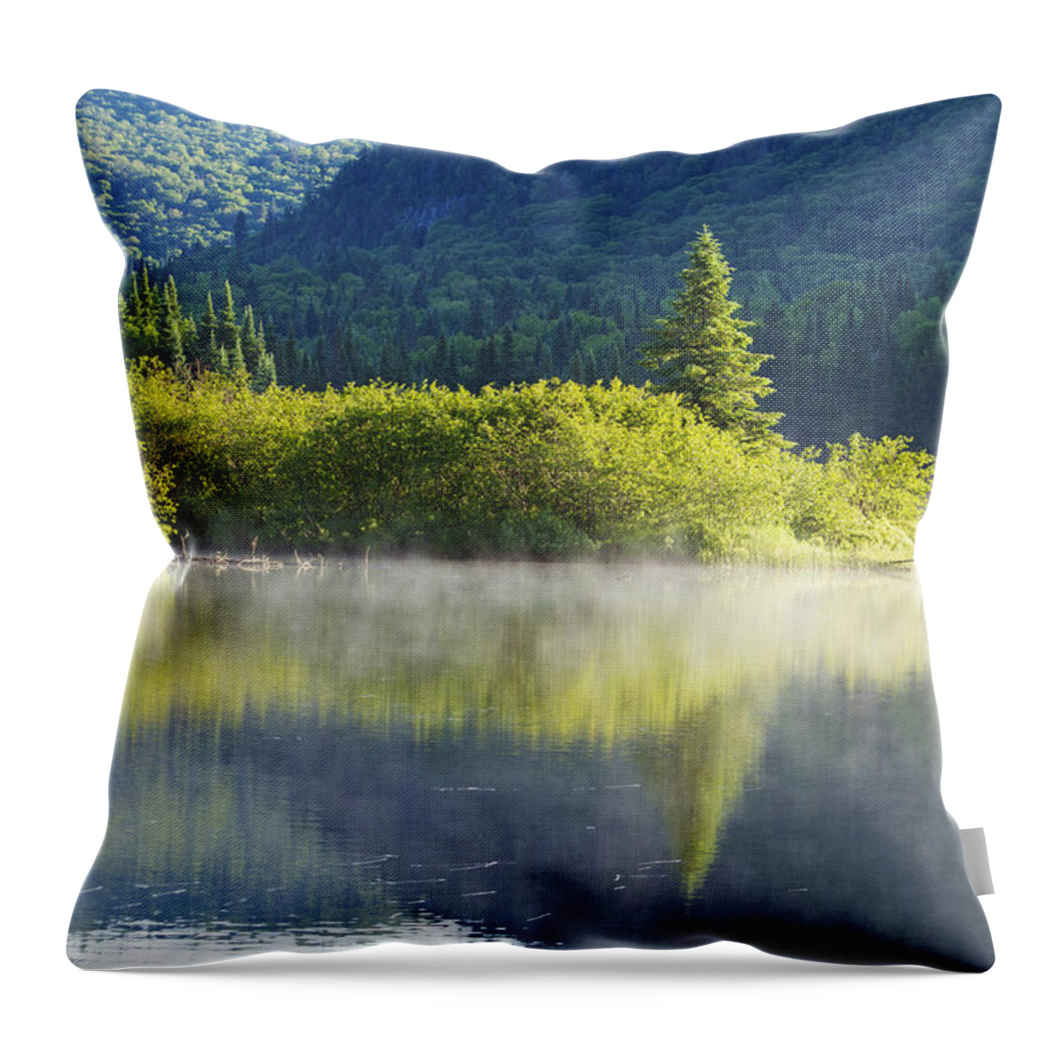 Mont Throw Pillow featuring the photograph Laurentian Summer Morning by Mircea Costina Photography