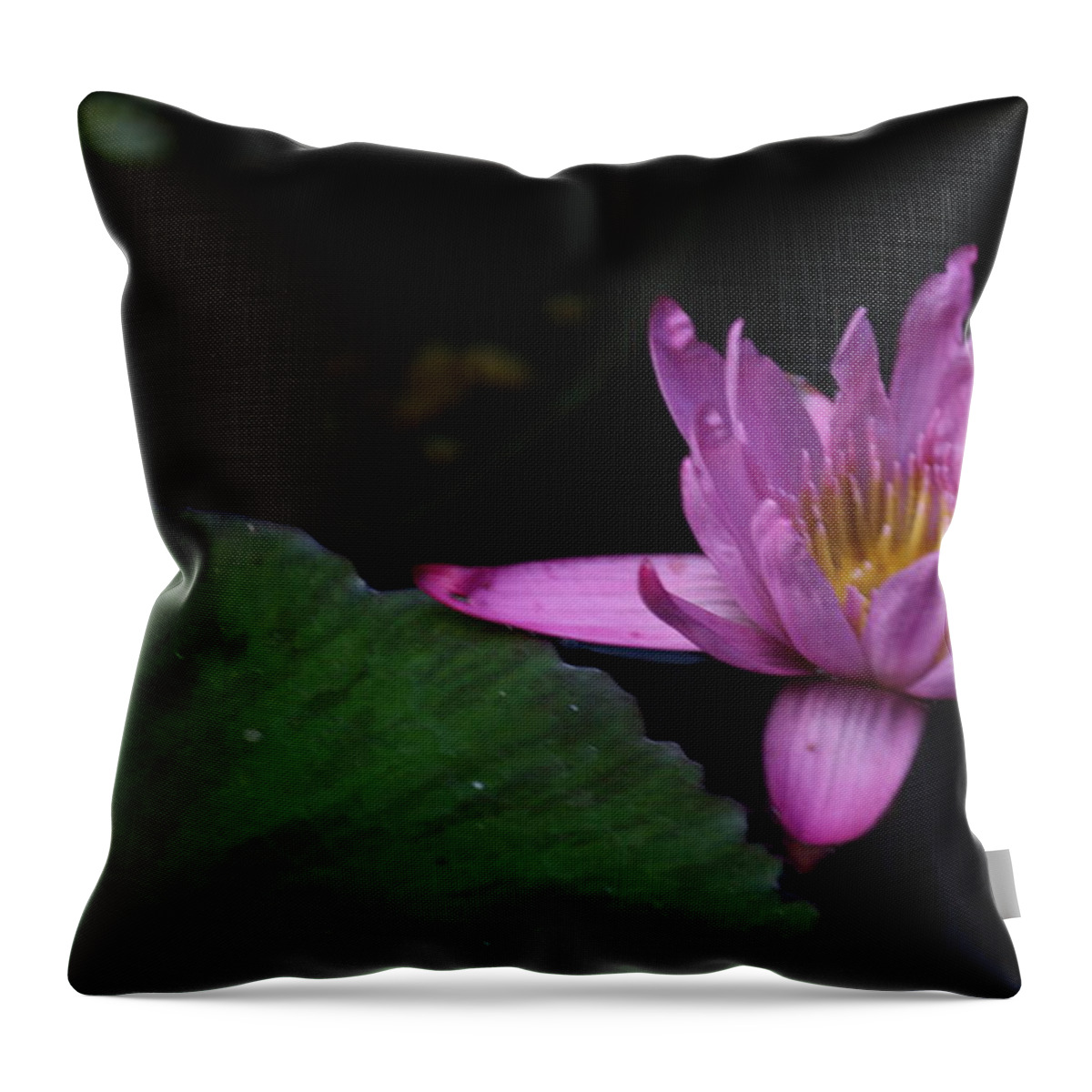 Purple Throw Pillow featuring the photograph Lavendar Water Lily by Donna Walsh