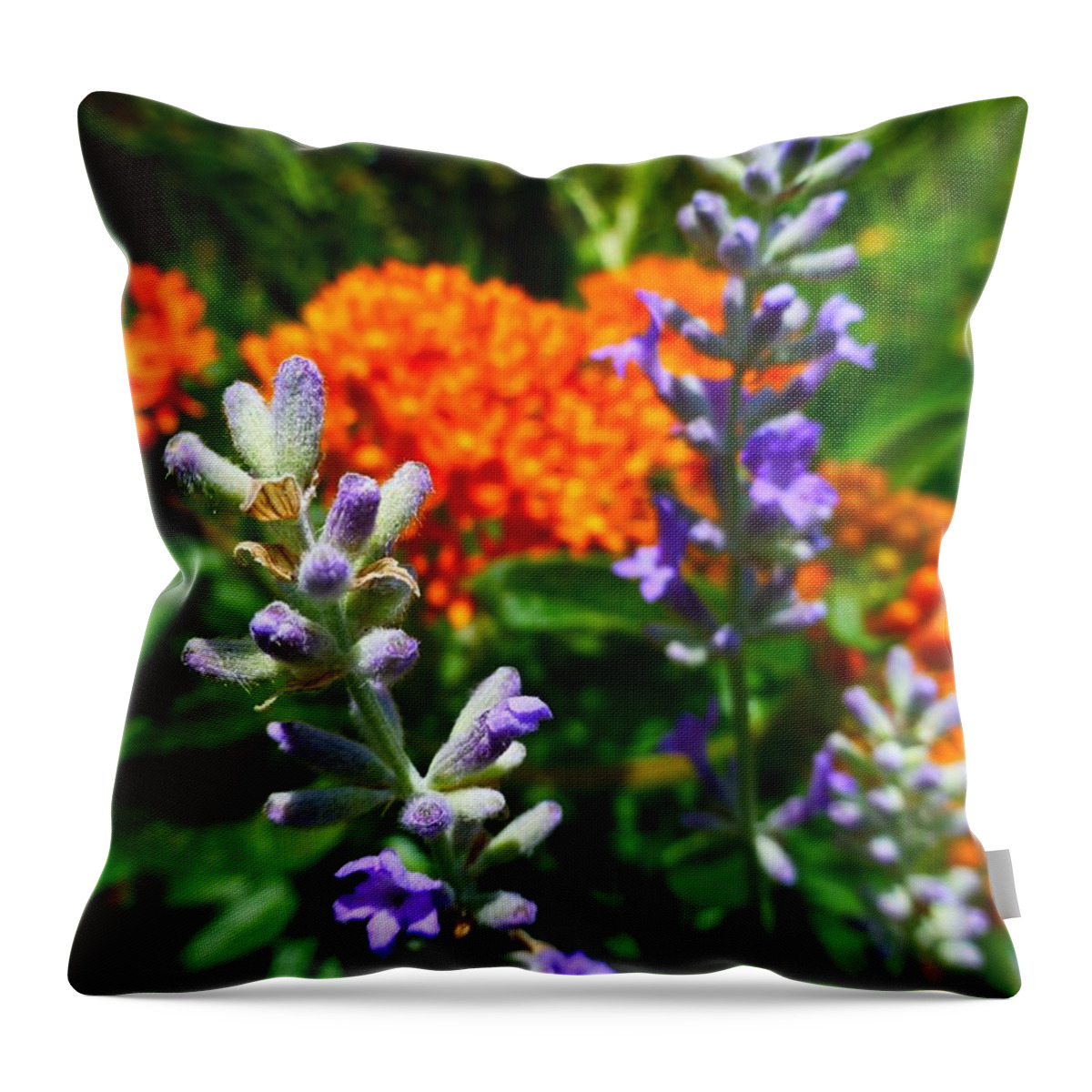 Lavender Throw Pillow featuring the photograph Lavender and Butterfly Weed by Jennifer Wheatley Wolf