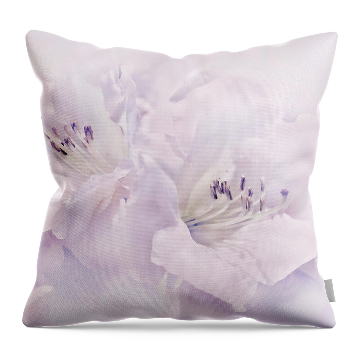 Azalea Throw Pillow featuring the photograph Lavender Azalea Flowers by Jennie Marie Schell