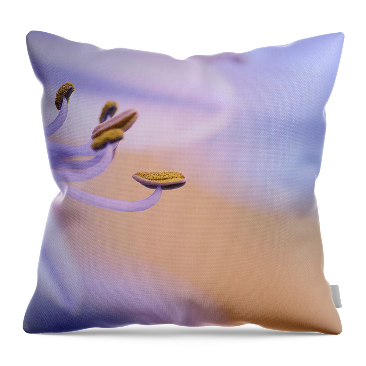 Allium Throw Pillow featuring the photograph Lavender Dream 2 by Fraida Gutovich