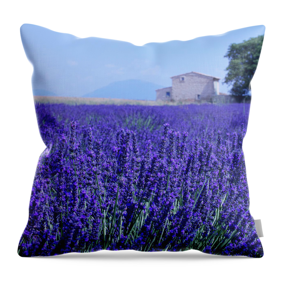 Tranquility Throw Pillow featuring the photograph Lavender Field Under Threat by Meriel Lland