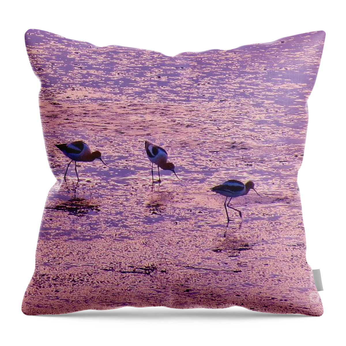 American Avocet Throw Pillow featuring the photograph Avocets in Lavender Light by Michele Penner