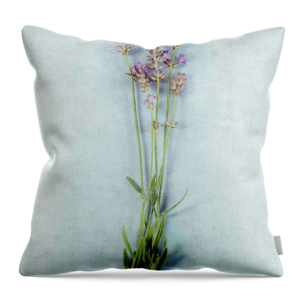 Lavender Throw Pillow featuring the photograph Lavender On Blue by HD Connelly